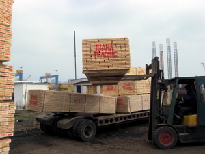 Cherestea de rasinoase pentru constructii