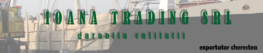 IOANA TRADING SRL