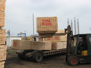 White wood timber for construction sites