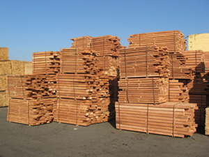Steamed and antiseptized beech wood timber