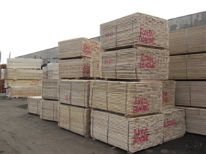 Short white wood timber