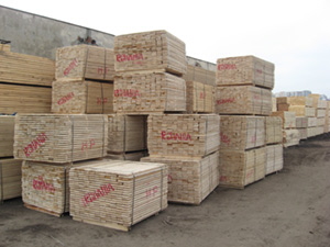 Short white wood timber