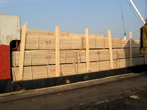 White wood timber for construction sites