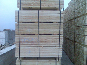 Poplar wood pallets elements